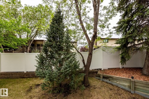 White privacy fencing bordering the property - 4632 151 Street, Edmonton, AB - Outdoor