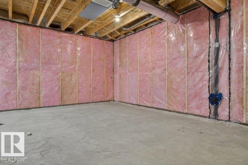 371 Bluff Cv, Leduc, AB - Indoor Photo Showing Basement
