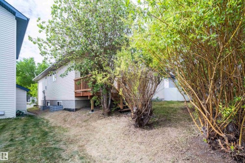 Rear exterior featuring light-colored siding, a wooden deck with railing, and mature trees providing natural screening - 1212 Ormsby Lane, Edmonton, AB - Outdoor