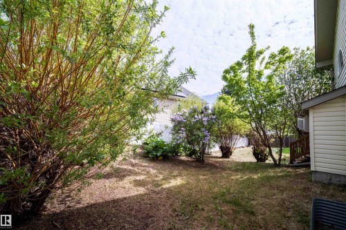 Spacious backyard featuring mature landscaping, an established tree, and flowering shrubs - 1212 Ormsby Lane, Edmonton, AB - Outdoor