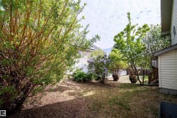 Spacious backyard featuring mature landscaping, an established tree, and flowering shrubs - 