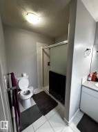 Three-quarter bathroom featuring a shower with a sliding glass door, a toilet, and a single vanity with a laminate countertop - 
