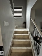 Carpeted staircase with white trim and dark metal balusters - 