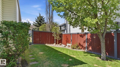 Lush green lawn with mature trees and shrubs - 4309 37A Avenue, Edmonton, AB - Outdoor