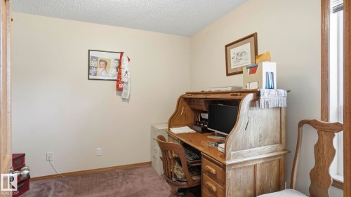 Room with light-colored walls and brown carpet flooring - 4309 37A Avenue, Edmonton, AB - Indoor Photo Showing Office