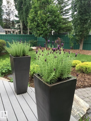 527 Hunters Green, Edmonton, AB - Outdoor