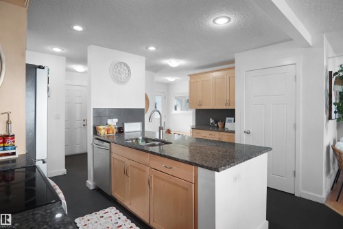 16804 53 Street, Edmonton, AB - Indoor Photo Showing Kitchen With Double Sink