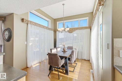 Dining area featuring large windows, wood-finish flooring, and a chandelier - 442 Hunters Green, Edmonton, AB - Indoor Photo Showing Dining Room