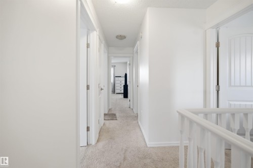 Hallway with light-colored carpeting and white walls - 1523 36 Avenue, Edmonton, AB - Indoor Photo Showing Other Room