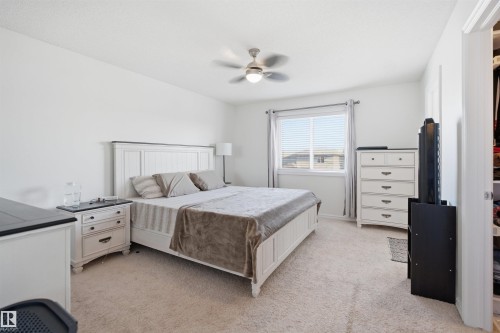 Spacious room featuring neutral carpeting and a ceiling fan with integrated lighting - 1523 36 Avenue, Edmonton, AB - Indoor Photo Showing Bedroom