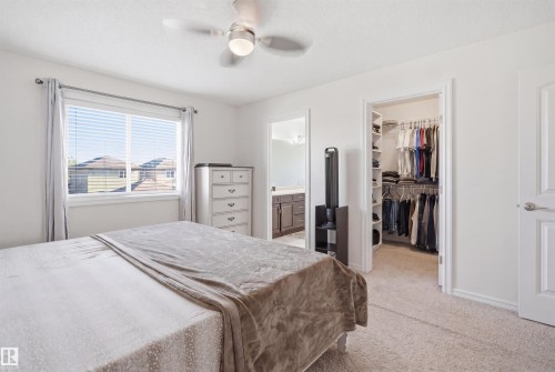 Carpeted bedroom featuring a ceiling fan with light fixture, a window with horizontal blinds, and an open doorway revealing a walk-in closet with built-in shelving and hanging rods - 1523 36 Avenue, Edmonton, AB - Indoor Photo Showing Bedroom