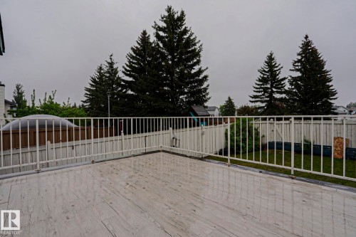 Expansive outdoor deck featuring wood-finish flooring, white metal railings, and mature evergreen trees - 313 Jillings Crescent, Edmonton, AB - Outdoor