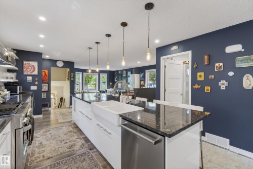 10869 94 Street, Edmonton, AB - Indoor Photo Showing Kitchen With Upgraded Kitchen