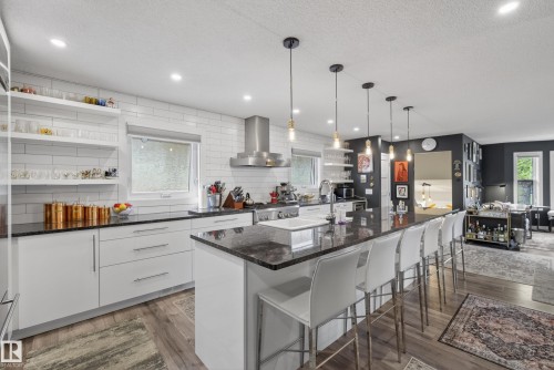 10869 94 Street, Edmonton, AB - Indoor Photo Showing Kitchen With Upgraded Kitchen