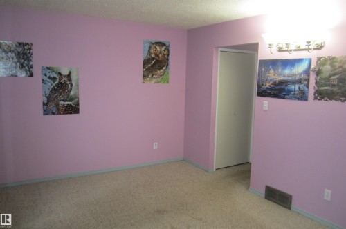 Wall-to-wall carpeting and lavender-painted walls - 3814 37 Avenue, Leduc, AB - Indoor