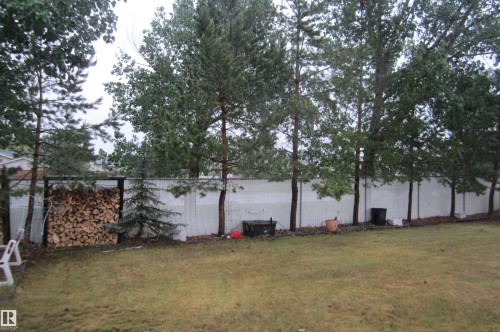 Expansive backyard featuring mature trees, a white perimeter fence, and a wood storage rack - 3814 37 Avenue, Leduc, AB - Outdoor