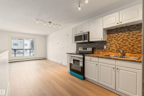 109 11429 124 Street, Edmonton, AB - Indoor Photo Showing Kitchen With Double Sink