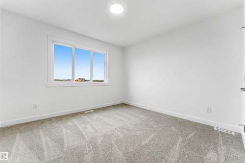 Bright room featuring a triple-pane window, neutral carpet flooring, white walls, white trim, and a ceiling-mounted light fixture - 1972 210 Street, Edmonton, AB - Indoor Photo Showing Other Room