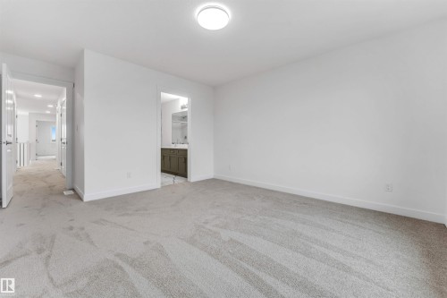 Carpeted room with a flush-mount ceiling light and white baseboards - 1972 210 Street, Edmonton, AB - Indoor Photo Showing Other Room
