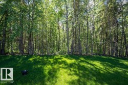 Expansive green lawn bordering a dense forest of mature trees - 