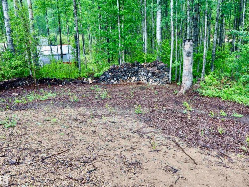 Wooded parcel featuring a natural terrain, mature trees, and a visible outbuilding - #20 59316 Rr 54, Rural Barrhead County, AB 