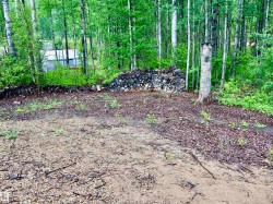 Wooded parcel featuring a natural terrain, mature trees, and a visible outbuilding - 