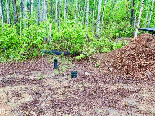 Wooded lot featuring mature trees and undergrowth, with cleared ground cover - #20 59316 Rr 54, Rural Barrhead County, AB 