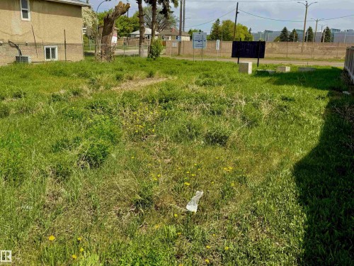 Grassy area featuring mature trees and a partial fence line - 11640 80 Street, Edmonton, AB 