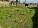 Grassy area featuring mature trees and a partial fence line - 11640 80 Street, Edmonton, AB 