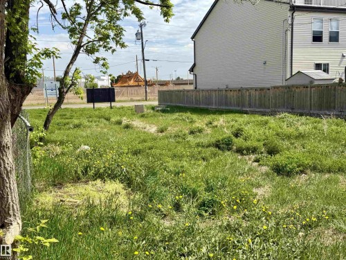 Expansive undeveloped lot featuring natural ground cover, mature trees, and a chain-link fence border - 11640 80 Street, Edmonton, AB 