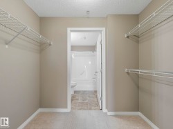 Walk-in closet with carpet flooring, light neutral paint, white wire shelving, and white baseboards - 