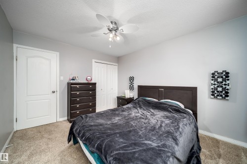 Bedroom featuring textured carpeting, light gray walls, a ceiling fan with integrated lighting, and a closet with bifold doors - 8512 142A Avenue, Edmonton, AB 