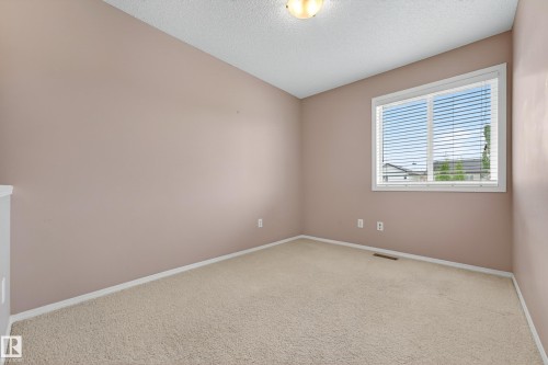 5917 South Terwillegar Boulevard, Edmonton, AB - Indoor Photo Showing Other Room