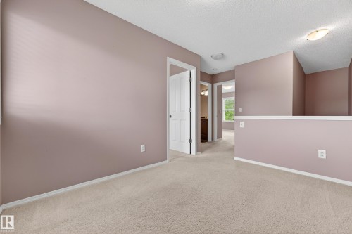 5917 South Terwillegar Boulevard, Edmonton, AB - Indoor Photo Showing Other Room