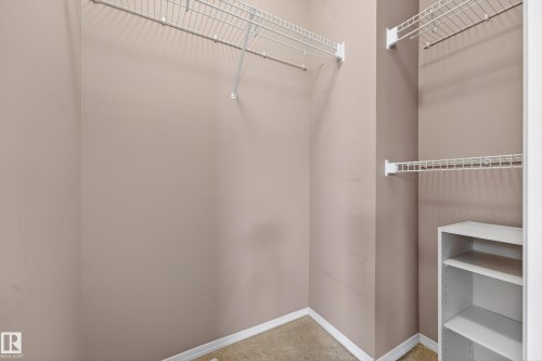 5917 South Terwillegar Boulevard, Edmonton, AB - Indoor With Storage