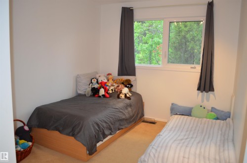 Bright room featuring neutral walls and carpet flooring - 68 Marlboro Road, Edmonton, AB 