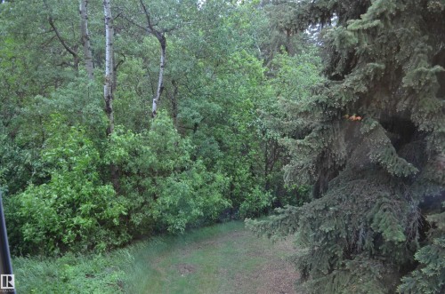Image quality insufficient for description - 68 Marlboro Road, Edmonton, AB 