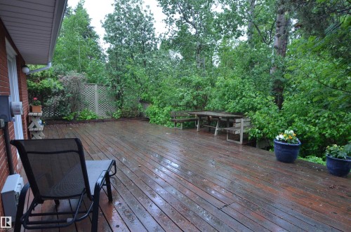 Expansive wood-finish deck with integrated seating, surrounded by mature trees and lush foliage - 68 Marlboro Road, Edmonton, AB 