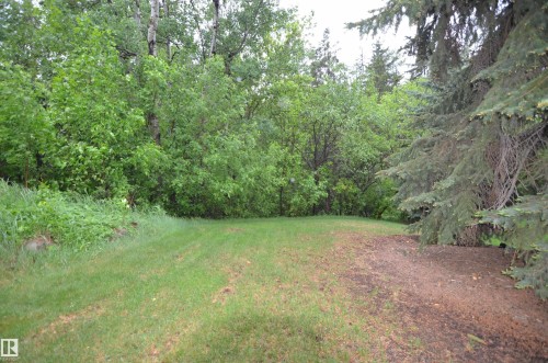 Expansive outdoor area featuring varied natural landscaping - 68 Marlboro Road, Edmonton, AB 