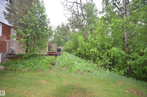 Expansive green space featuring a sloped lawn and mature trees - 68 Marlboro Road, Edmonton, AB 