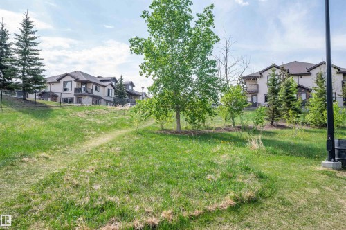 Expansive graded green space featuring varied tree plantings and a black perimeter fence - 40 604 62 Street, Edmonton, AB 
