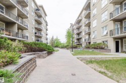 Expansive outdoor pathway featuring concrete pavers and stone retaining walls - 