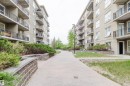 Expansive outdoor pathway featuring concrete pavers and stone retaining walls - 1-405 4245 139 Avenue, Edmonton, AB 