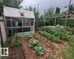 Summertime view of fenced backyard with vegetable garden and sheds - 
