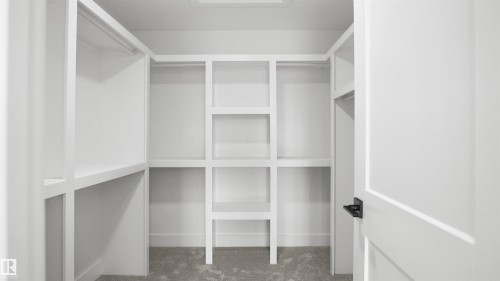 Walk-in closet featuring white built-in shelving, multiple hanging rods, and light gray carpeting - 803 30 Avenue, Edmonton, AB 