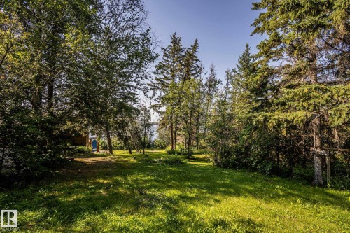 Expansive grassy clearing surrounded by mature evergreen and deciduous trees, featuring a distant water body visible through the foliage - 61 Stang Cres, Rural Two Hills County, AB - Outdoor