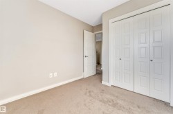 Neutral-toned wall paint with white trim, carpeting, and bi-fold closet doors - 