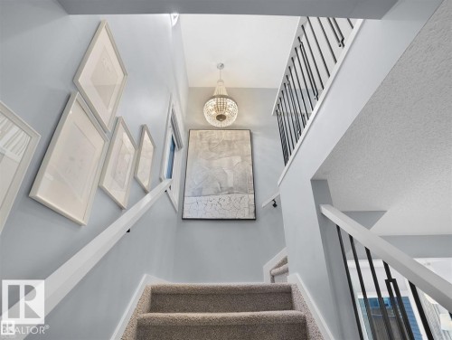 Carpeted staircase featuring white risers, white handrails, and black metal balusters - 207 41 Avenue, Edmonton, AB 