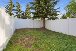 Expansive backyard featuring a mature evergreen tree - 
