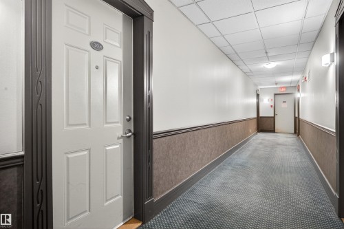Hallway with patterned carpeting, textured wainscoting, and white upper walls - 304 10116 80 Avenue, Edmonton, AB 